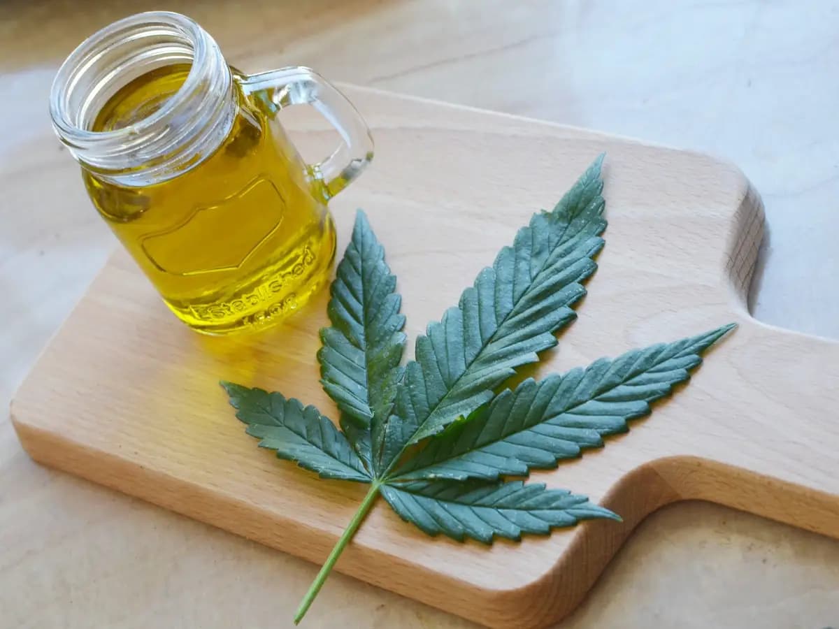 THC Cannabis Oil for Sale in Europe with Premium Potency